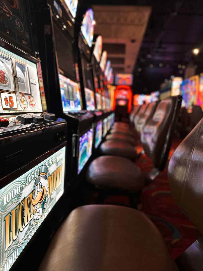 Yoji casino app